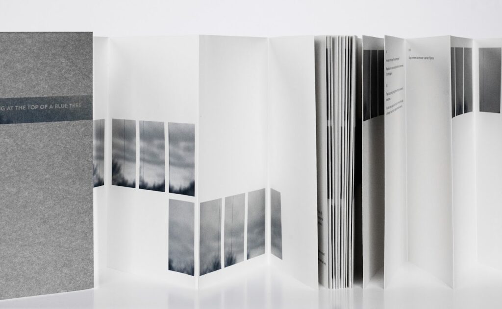 Image of a book combing images and poetry, whose pages open and close like an accordian