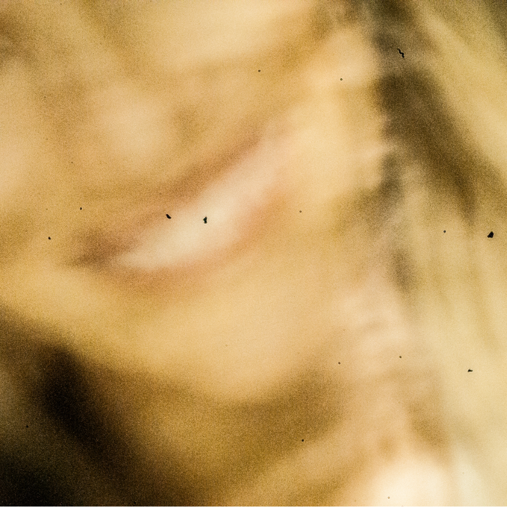 Image of A blurred image of woman smiling - artwork by Guilherme Bergamini - from Feminicid