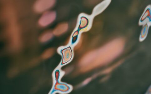 20250403_sA_0048-scaled